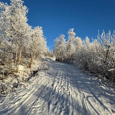 New Modern In Дом отдыха Beitostolen