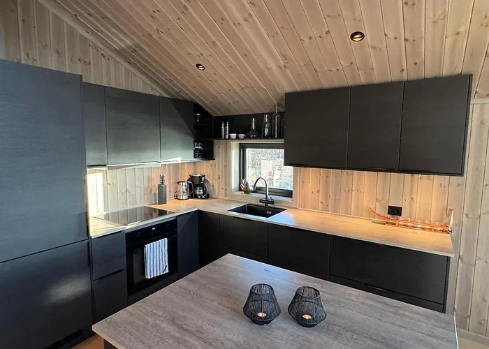 度假居 New Modern In Beitostolen